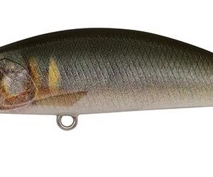 DUO SPEARHEAD RYUKI 50S 5cm 4.5gr ACC4810 Ayu ND